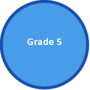 Grade 5